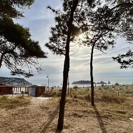 Atico Grecia Apartment L'Estartit